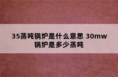 35蒸吨锅炉是什么意思 30mw锅炉是多少蒸吨